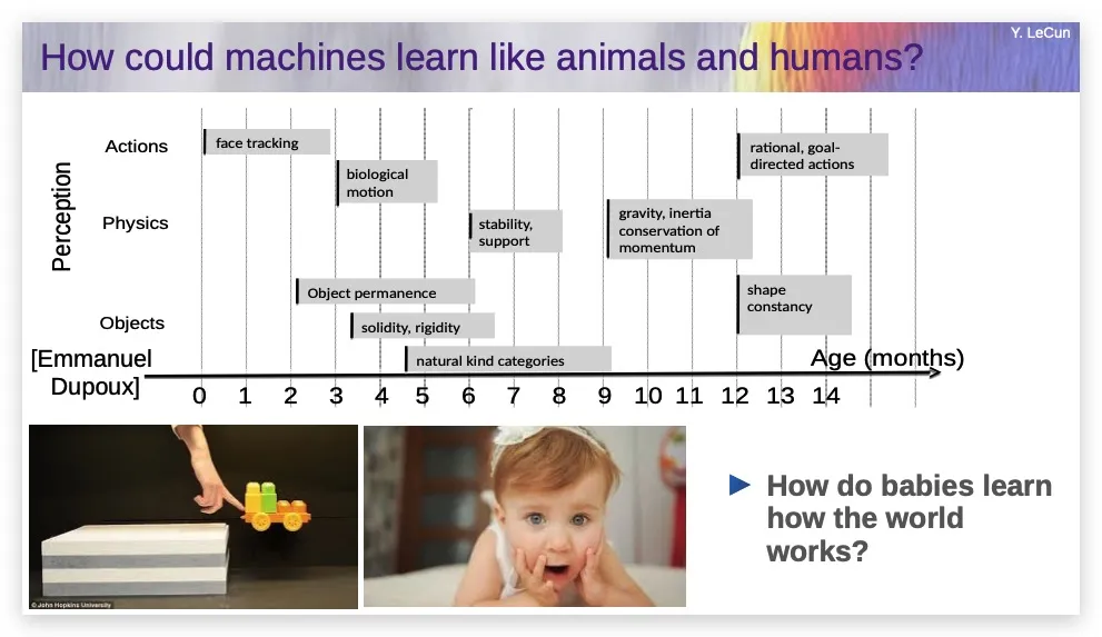 杨立昆哈佛大学演讲：生成式大模型很糟糕，我们需要目标驱动的AI