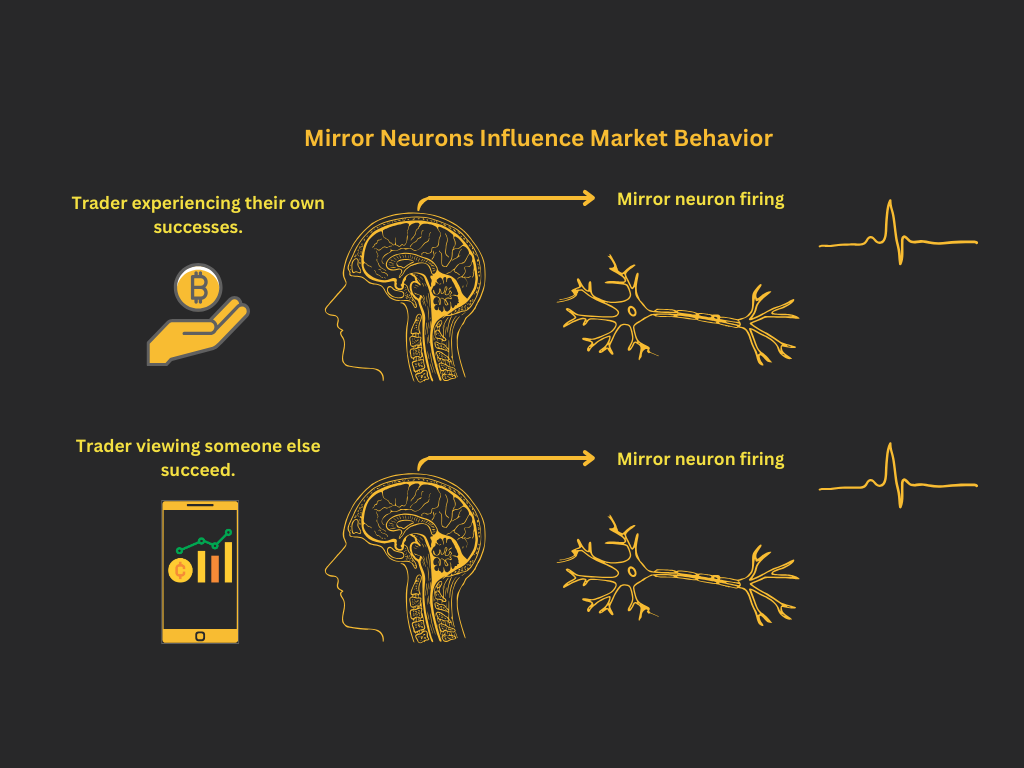 市场周期   4 ·.jpg